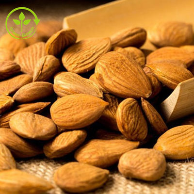 Ekstrak Tanaman Alami Massal Bubuk Susu Almond Organik Murni 99%