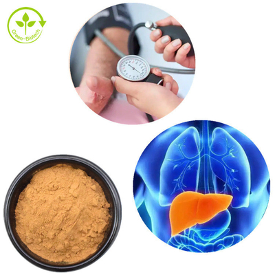 Lions Mane Miselium Ekstrak Bubuk Jamur Hericium Erinaceus 30%