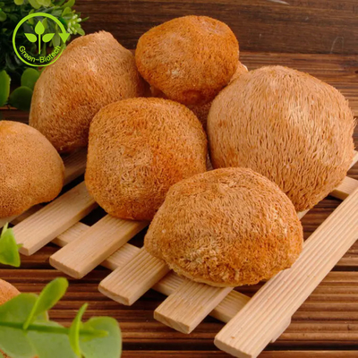 Lions Mane Miselium Ekstrak Bubuk Jamur Hericium Erinaceus 30%