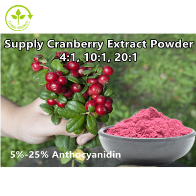 Organik 4: 1 Ekstrak Cranberry Bubuk Anthocyanidin 25% Ekstrak Buah Cranberry / Vaccinium Macrocarpon