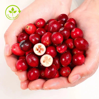Organik 4: 1 Ekstrak Cranberry Bubuk Anthocyanidin 25% Ekstrak Buah Cranberry / Vaccinium Macrocarpon