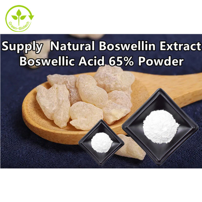 Frankincense Tree Boswellin Ekstrak Boswellic Acid 65% Powder