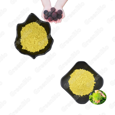 Ampelopsis Extract Vine Tea Plant Extract Powder Organic Natural Myricetin Extract