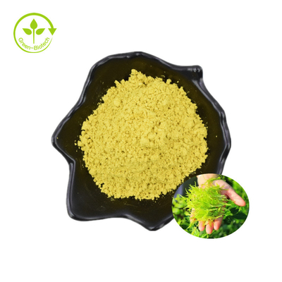Ampelopsis Extract Vine Tea Plant Extract Powder Organic Natural Myricetin Extract