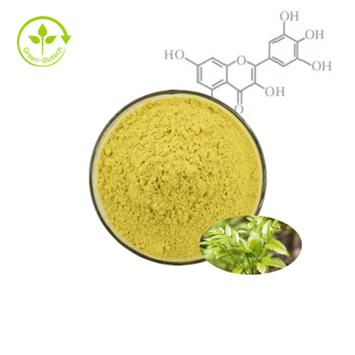 Ampelopsis Extract Vine Tea Plant Extract Powder Organic Natural Myricetin Extract