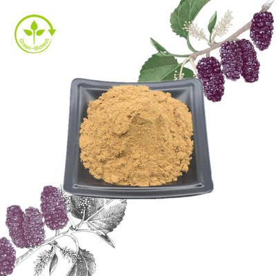 Mulberry Leaf Mulberry Leaf Plant Extract Powder 1% - 10% Untuk Perawatan Kesehatan