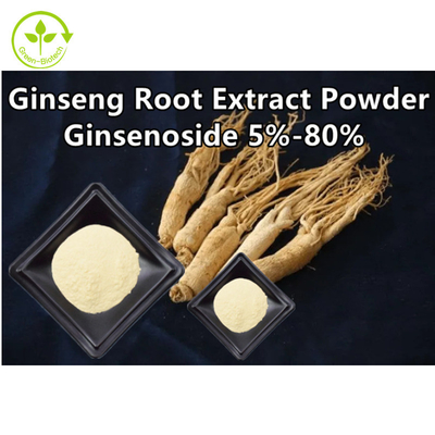 Ekstrak Akar Ginseng Herbal Ginsenosida 5% - 80%