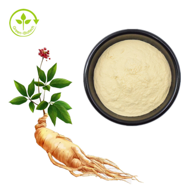 Ekstrak Akar Ginseng Herbal Ginsenosida 5% - 80%
