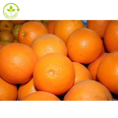 Ekstrak Food Grade Citrus Aurantium Diosmin 98% Hesperidin Powder
