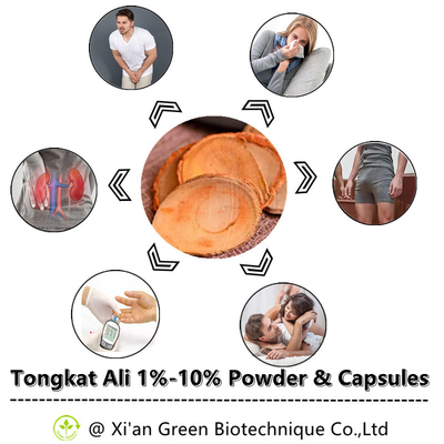 Kapsul Organik Eurycoma Longifolia Ekstrak Akar Tongkat Ali Mendukung Energi Stamina