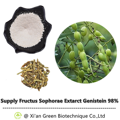 98% Genistein Fructus Sophorae Tanaman Ekstrak Bubuk Nepeta Japonica Maxim