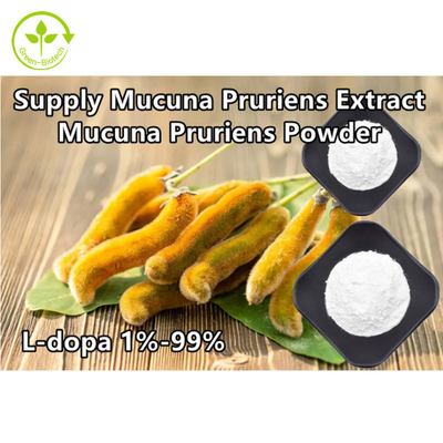 Tanaman Mucuna Pruriens Ekstrak 98% 99% L-Dopa Powder