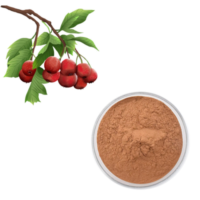 Hawthorn Berry Ekstrak Flavon 80% Bubuk Ekstrak Daun Crataegus