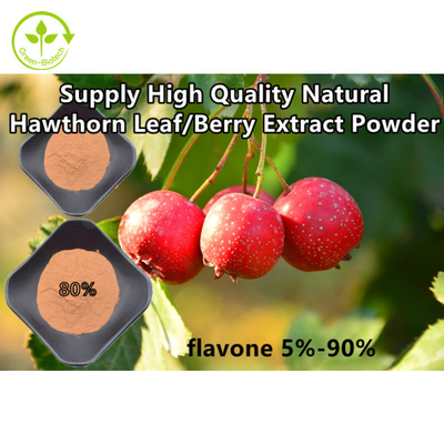 Hawthorn Berry Ekstrak Flavon 80% Bubuk Ekstrak Daun Crataegus