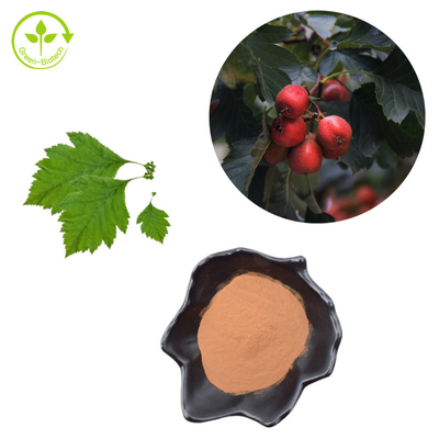 Hawthorn Berry Ekstrak Flavon 80% Bubuk Ekstrak Daun Crataegus