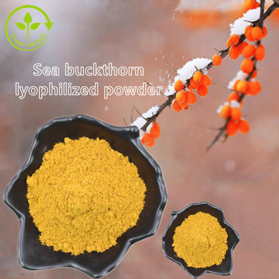 Ekstrak Tumbuhan Fructus Hippophae Sea Buckthorn Oil Minyak Hippophae Rhamnoides