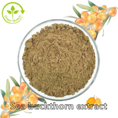Ekstrak Tumbuhan Fructus Hippophae Sea Buckthorn Oil Minyak Hippophae Rhamnoides