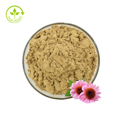 Tumbuhan Ekstrak Echinacea Purpurea 2% Serbuk Asam Chicory