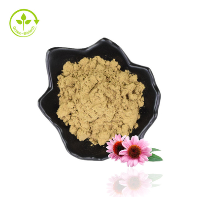 Tumbuhan Ekstrak Echinacea Purpurea 2% Serbuk Asam Chicory