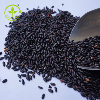 Massal 100% Ekstrak Beras Hitam Murni Bubuk Antosianin 10 - 25%