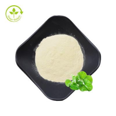 Ekstrak Gotu Kola 40% Asiaticoside Powder Natural Centella Asiatica Extract