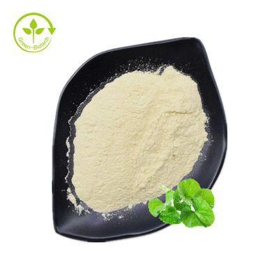 Perawatan Kulit Hydrocotyle Centella Asiatica Extract Powder Total Asiaticoside 80%