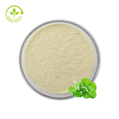 Perawatan Kulit Hydrocotyle Centella Asiatica Extract Powder Total Asiaticoside 80%