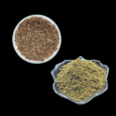 Ajuga Turkestanica Ekstrak Ekstrak Herbal bubuk Suplemen Bubuk Turkesterone 2% 10% 20%
