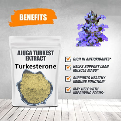 2% 10% 20% 40% Suplemen Bubuk Ekstrak Turkesterone Ajuga Turkestanica