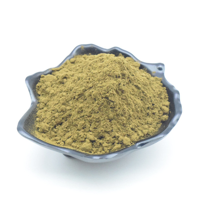 Harga Terbaik Ajuga Turkestanica Extract Pure Turkesterone 2% 10% Turkesterone Powder