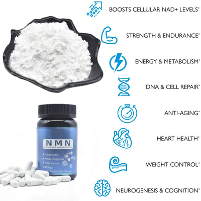 Food Grade OEM Pure NMN Powder 99% Sertifikat Halal Kosher Massal