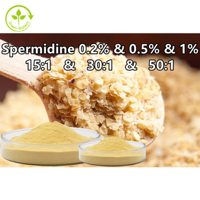 Ekstrak Kuman Gandum Spermine Powder Suplemen Makanan Spermidine 0,1% 0,5% 1%