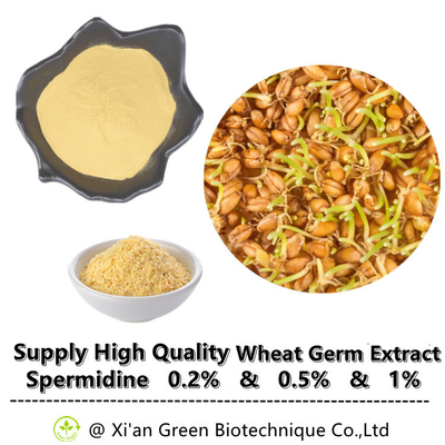 Suplemen Ekstrak Tumbuhan Spermidine Trihydrochloride Serbuk Spermidine