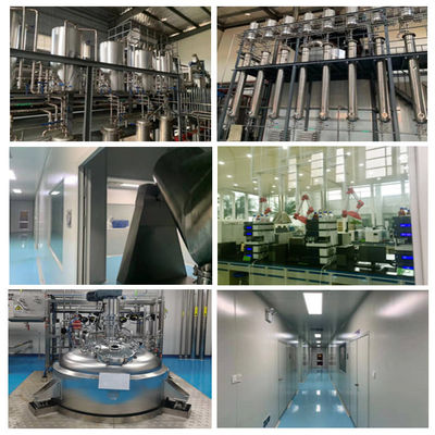 CAS 501-36-0 Trans Resveratrol Powder 50% 98% 99% Untuk Perawatan Sehat