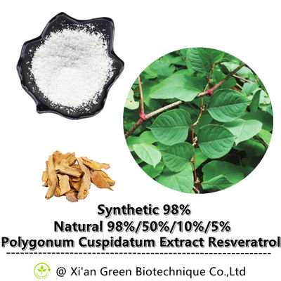 99% Trans-Resveratrol Powder Ekstrak Akar Polygonum Cuspidatum