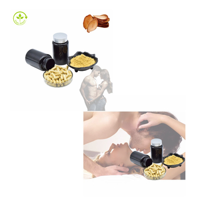 Tanaman Herbal Ekstrak Tongkat Ali Akar Tongkat Ali