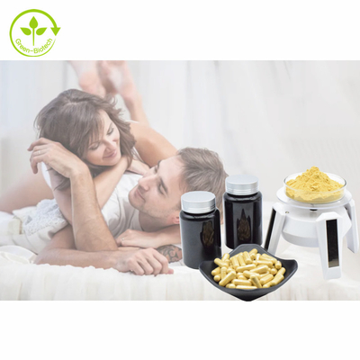 Tanaman Herbal Ekstrak Tongkat Ali Akar Tongkat Ali