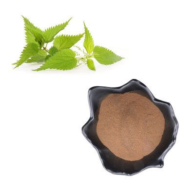 Ekstrak Akar Nettle Alami 95% 3,4-Divanillyltetrahydrofuran Powder