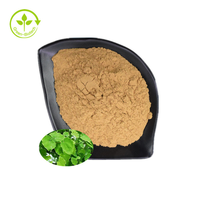 Ekstrak Epimedium Perawatan Sehat 10% 20% 98% Icariin Powder