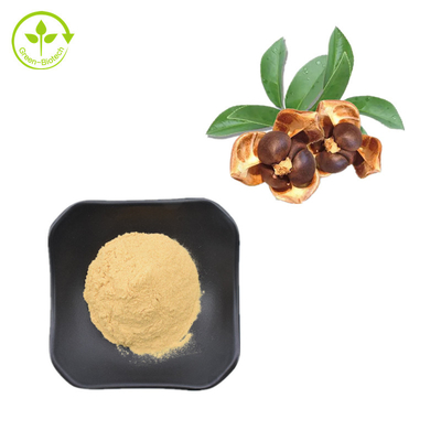 CAS 8047-15-2 Ekstrak Tumbuhan Alami 80% Bubuk Saponin Biji Teh