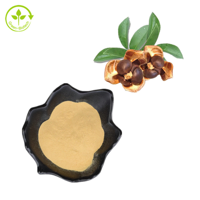 100% Ekstrak Biji Camellia Alami 95% Bubuk Saponin Teh