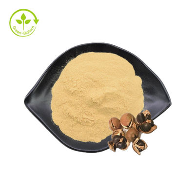 Ekstrak Biji Teh Bubuk Saponin Alami 90% Untuk Kosmetik