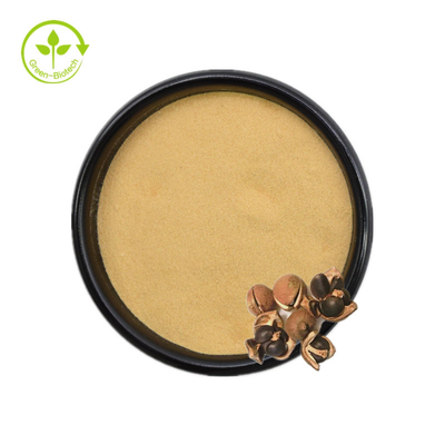Ekstrak Biji Camellia Sinensis Teh Bubuk Saponin 50% 60% 70% 80% 85% 90% 95% 98%