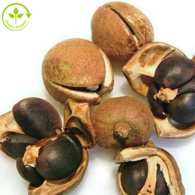 Ekstrak Biji Camellia Sinensis Teh Bubuk Saponin 50% 60% 70% 80% 85% 90% 95% 98%