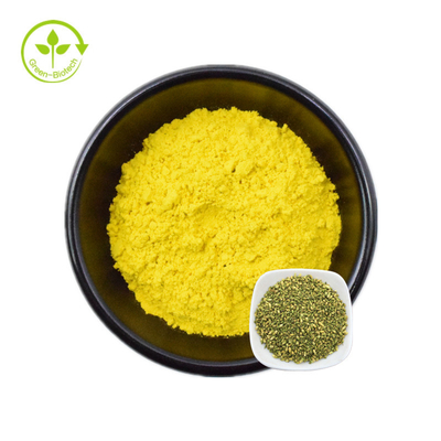 Ekstrak Food Grade Sophora Japonica 95% Bubuk Quercetin Murni