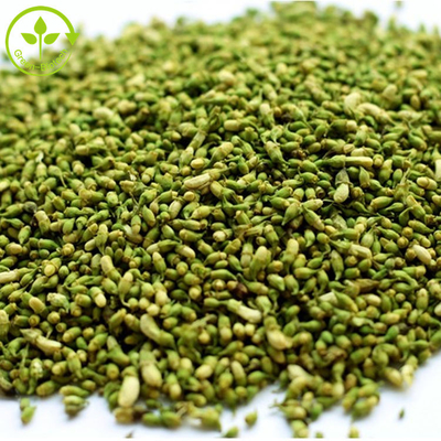 Ekstrak Food Grade Sophora Japonica 95% Bubuk Quercetin Murni