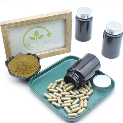 Suplemen Ekstrak Ajuga Turkestanica Murni 10% 40% 500mg Kapsul Turkesterone