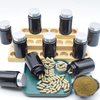 500mg Kapsul Ekstrak Ajuga Turkestanica Untuk Binaraga