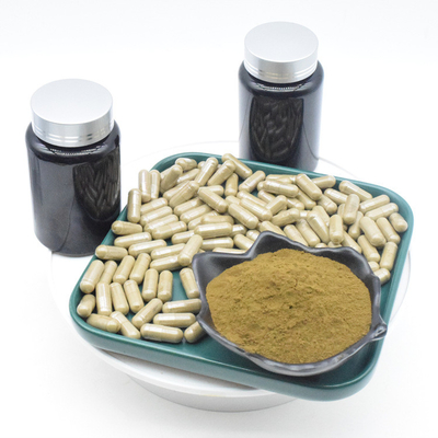 Ajuga Turkestanica Extract Kapsul Turkesterone Untuk Binaraga