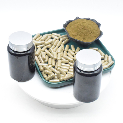 OEM Ajuga Turkestanica Extract Powder 2% 10% 500mg Kapsul Turkesterone